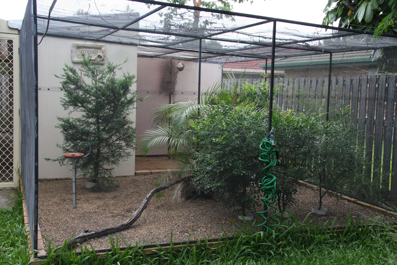Aviary Furniture - Queensland Finch Society - Modern Large Macaw Aviary Furniture