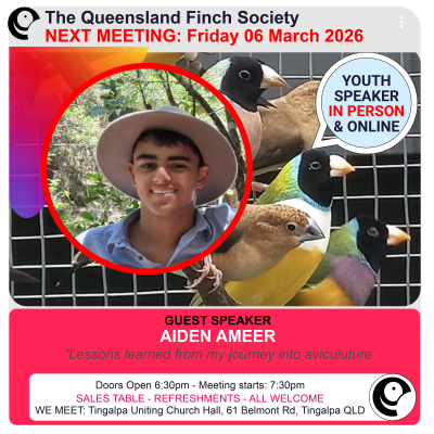 QFS March 2026 Meeting: Aiden Ameer