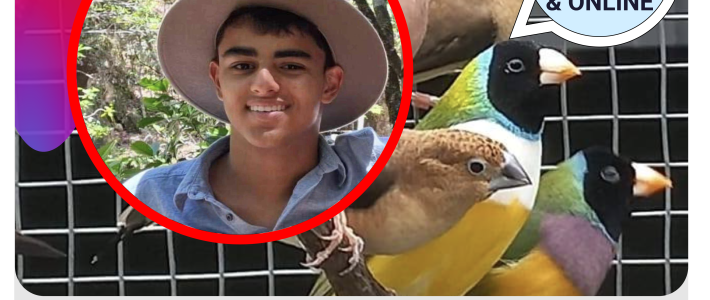 QFS March 2026 Meeting: Aiden Ameer